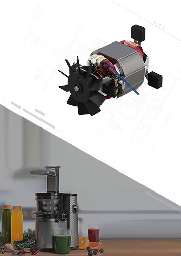須大批量定制的220V136W蔬菜水果榨汁機電機交流