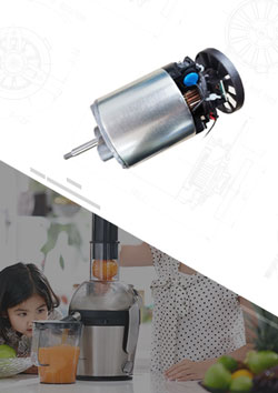 須大批量定制的電動果蔬慢榨機電機榨汁機電機230v400W直流電機